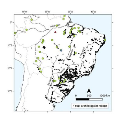 Tupi-Intiaanien ja Guaraní-heimon välinen konflikti: 1100-luvun Brasiliassa käyty sota vaikutti alueen etnisten ryhmien muodostumiseen ja kauppatieverkkojen kehitykseen.