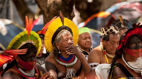 The Great Toad Uprising: An Archaeological Enigma Examining Amazonian Rituals and Shifting Agricultural Practices in 7th Century Brazil